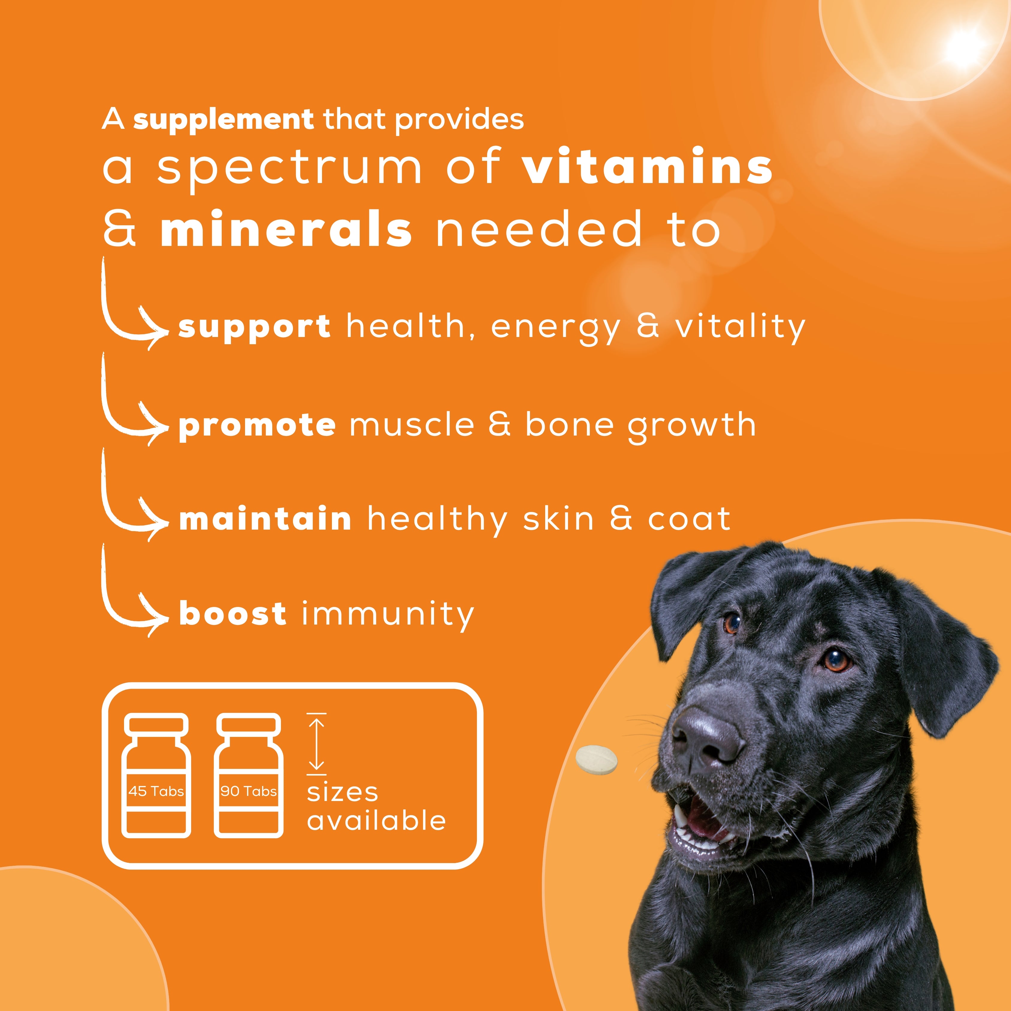 Venttura: Nutri+ Pro Chewable Tablets for Dogs