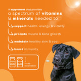 Venttura: Nutri+ Pro Chewable Tablets for Dogs