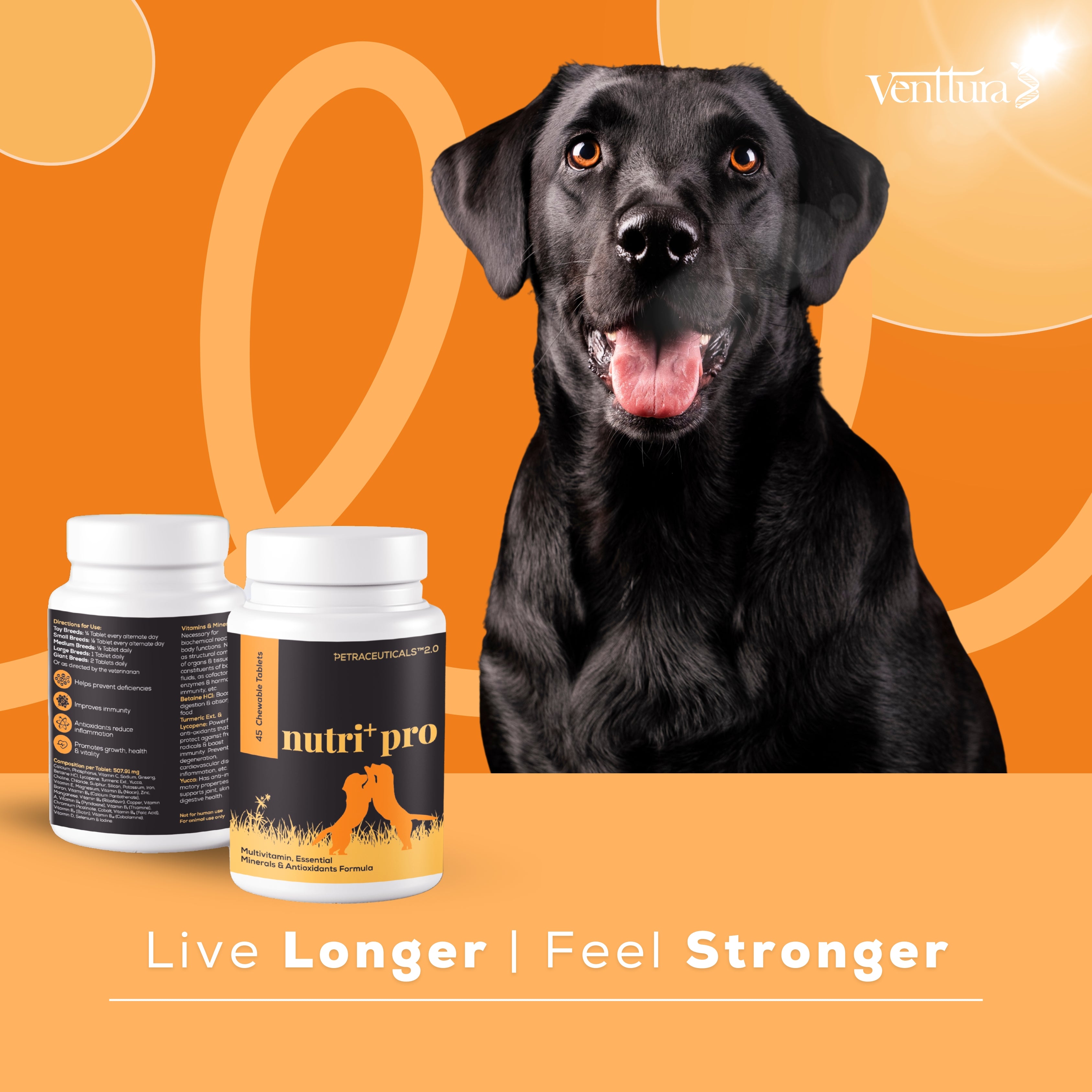 Venttura: Nutri+ Pro Chewable Tablets for Dogs