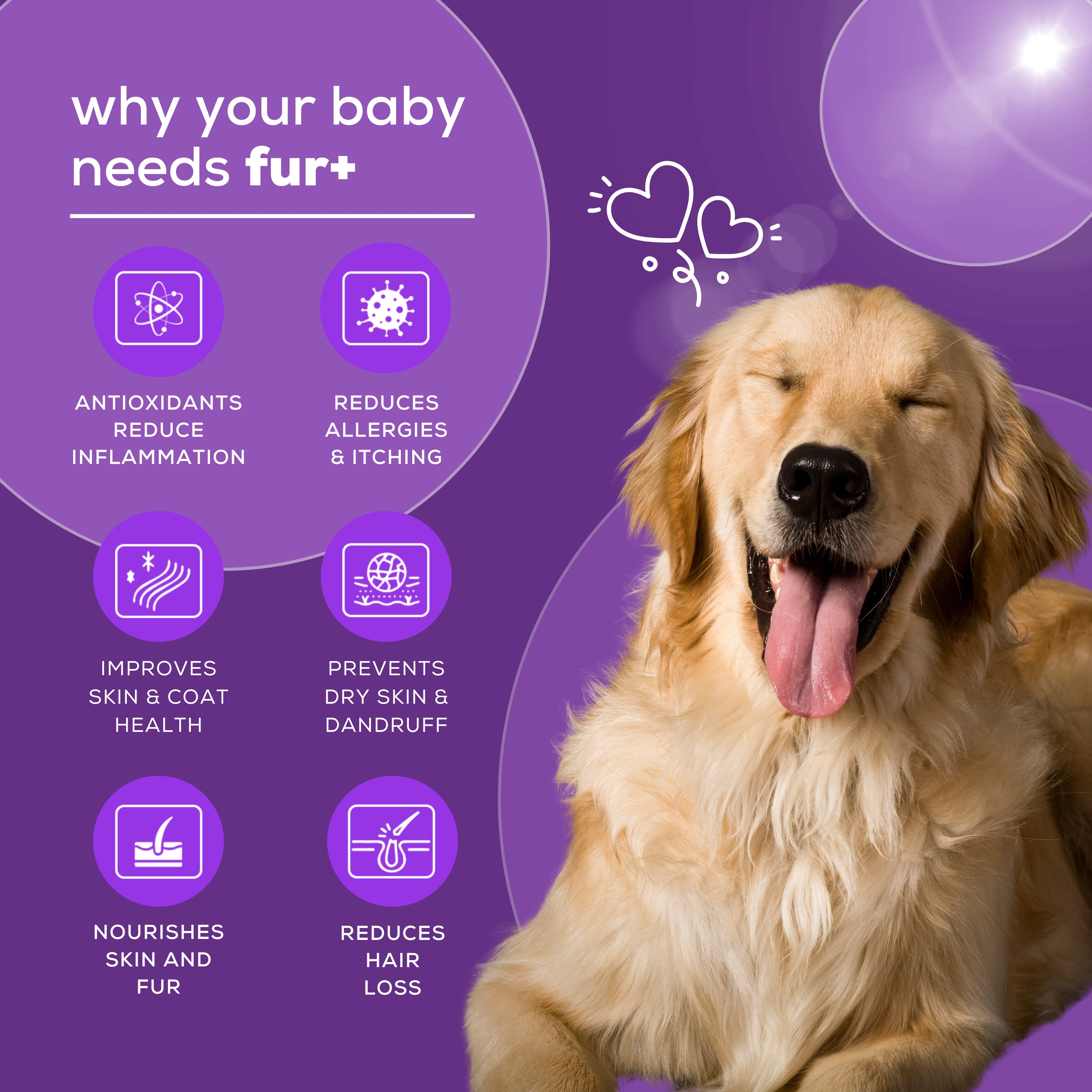 Venttura Fur+ Chewable Tablets – Comprehensive Skin & Coat Support