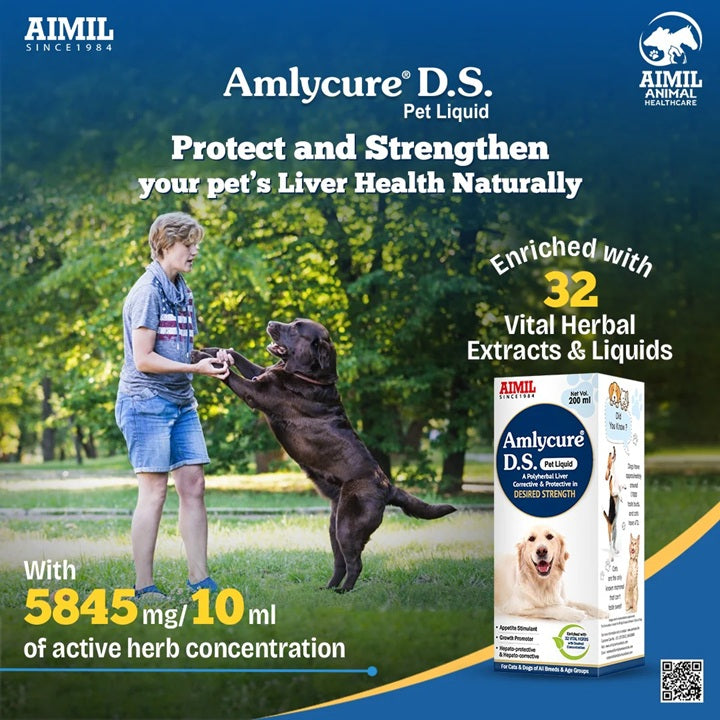 AIMIL Amlycure D.S Pet Liquid - A Polyherbal Liver Corrective & Protective in Desired Strength - Mango Flavour