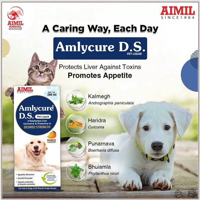 AIMIL Amlycure D.S Pet Liquid - A Polyherbal Liver Corrective & Protective in Desired Strength - Mango Flavour