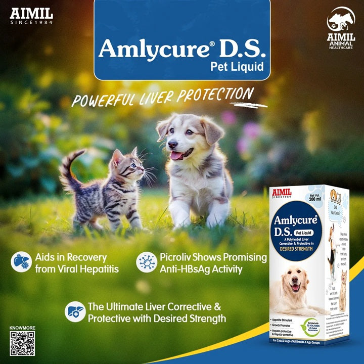 AIMIL Amlycure D.S Pet Liquid - A Polyherbal Liver Corrective & Protective in Desired Strength - Mango Flavour