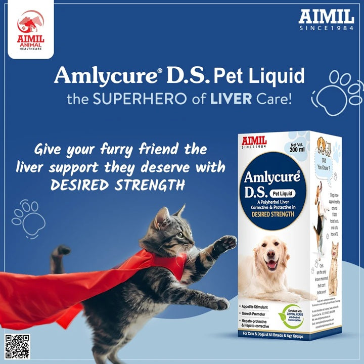 AIMIL Amlycure D.S Pet Liquid - A Polyherbal Liver Corrective & Protective in Desired Strength - Mango Flavour