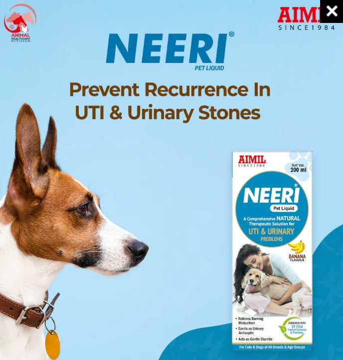 AIMIL Neeri Pet Liquid - Natural UTI & Urinary Health Solution - Banana Flavour