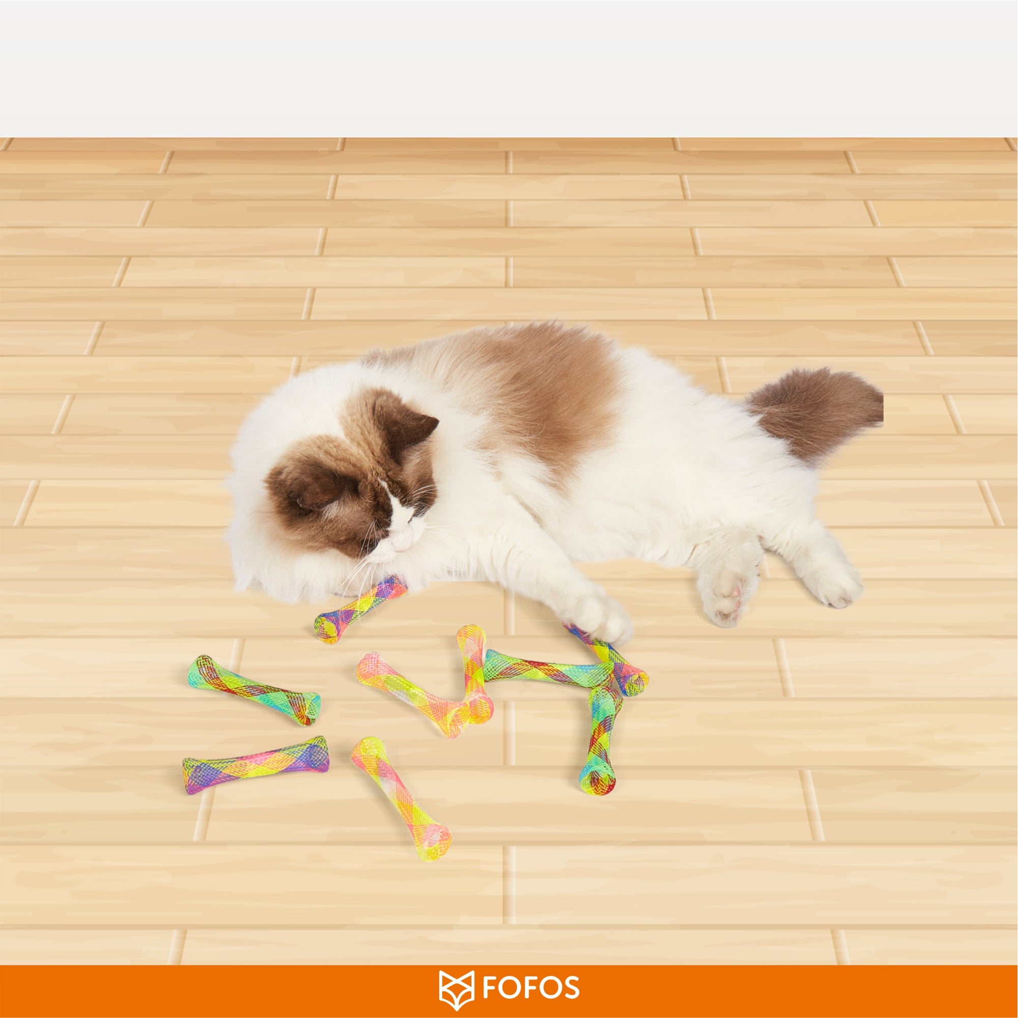 Fofos Spiral Spring Tube Cat Toy
