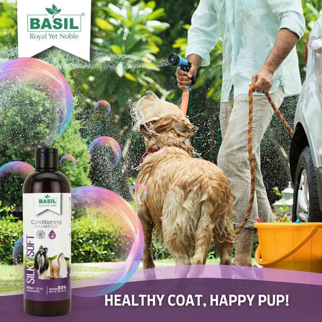 Basil  Ph Balance Silky Soft Conditioning Shampoo