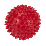 Active Spike Ball Dog Toy
