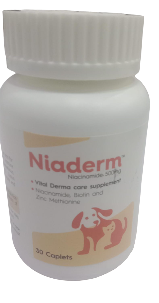 Niaderm Niacinamide 500mg – Caplets for Dogs & Cats