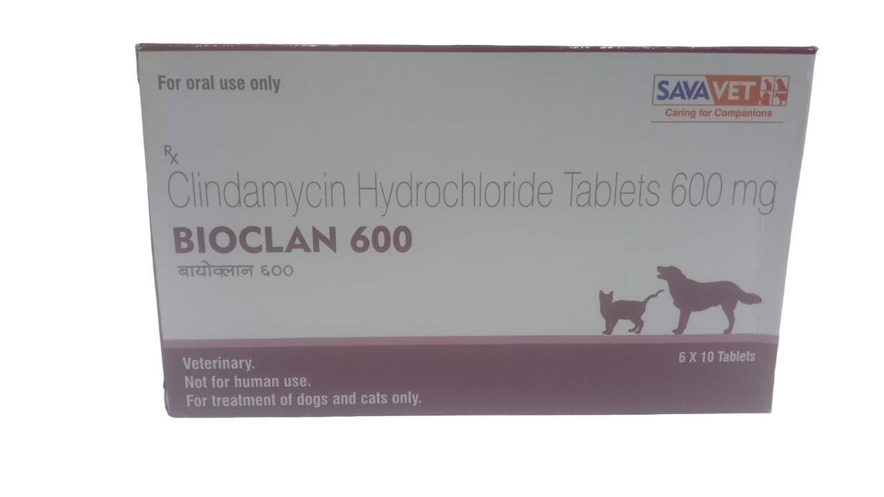 Savavet Bioclan 600 mg Tablets – Clindamycin for Dogs & Cats