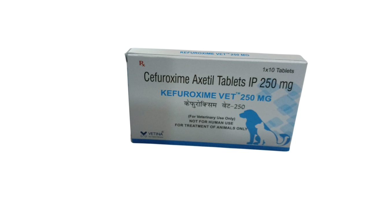 Vetina: Kefodoxime Vet 100 mg Tablets – Cefpodoxime Proxetil