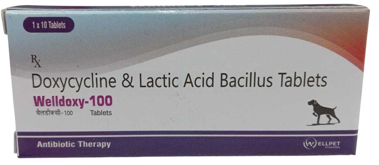 Wellpet Pharma: Welldoxy-100mg – Doxycycline & Lactic Acid Bacillus Tablets for Dogs