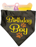 Petropolis Birthday Boy Bandana (Color May Vary)