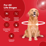 Venttura Ferro+ Syrup – Blood Booster for Pets