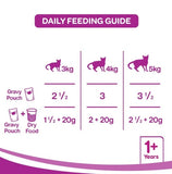 Whiskas Ocean Fish Adult Cat Pouch 80 G (Pack Of 28) - Ecom Pack