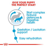 Royal Canin Maxi Starter Dog Dry Food