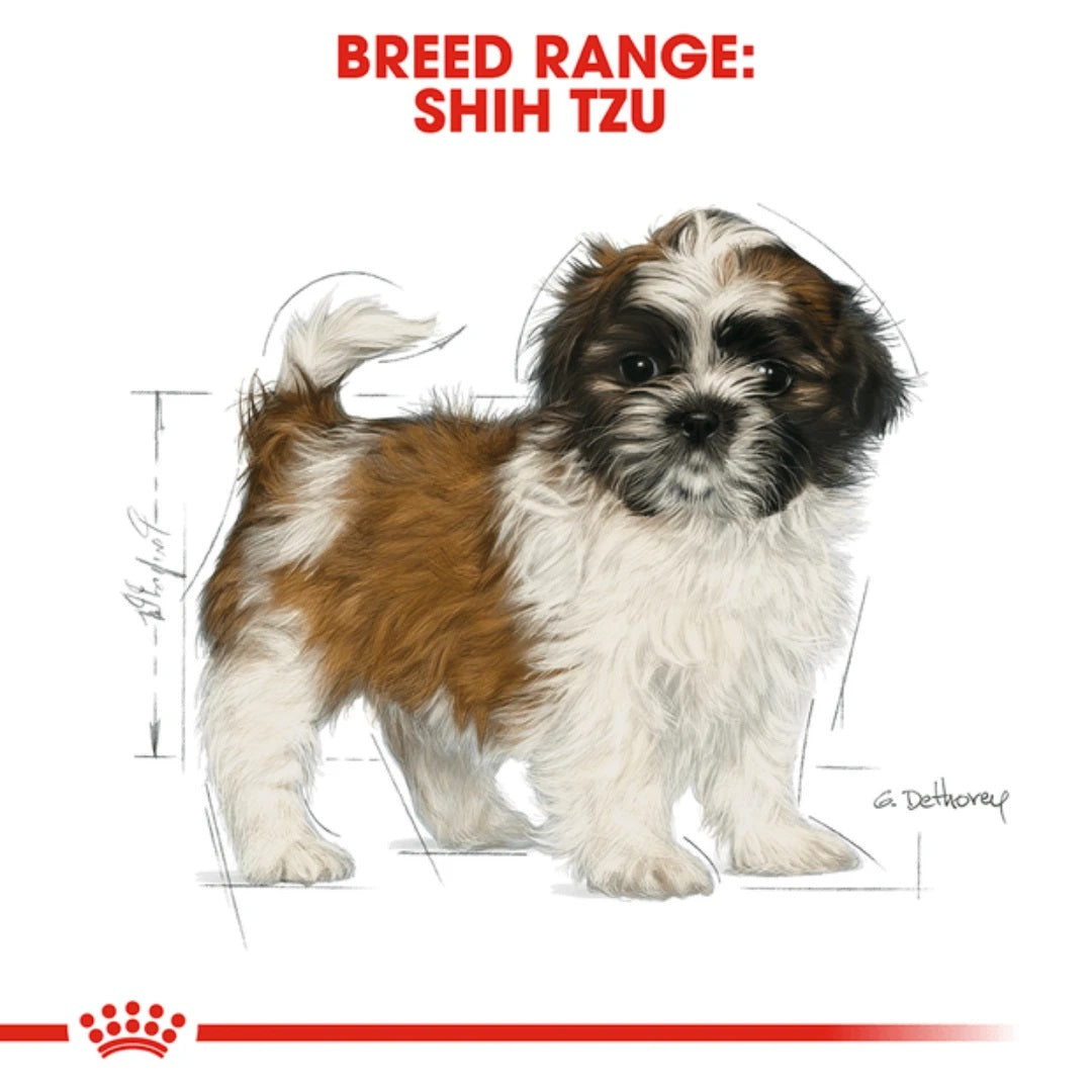 Royal Canin Shih-Tzu Puppy Dry Food