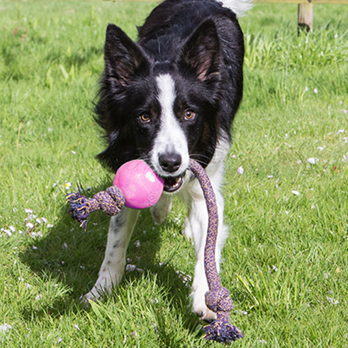 BecoPets Rope Dog Toy