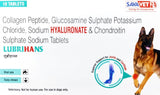 Savavet Lubrihans Joint Support Tablets for Dogs