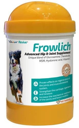 Vvaan: Reviv Frowlich – Advanced Hip & Joint Supplement for Dogs