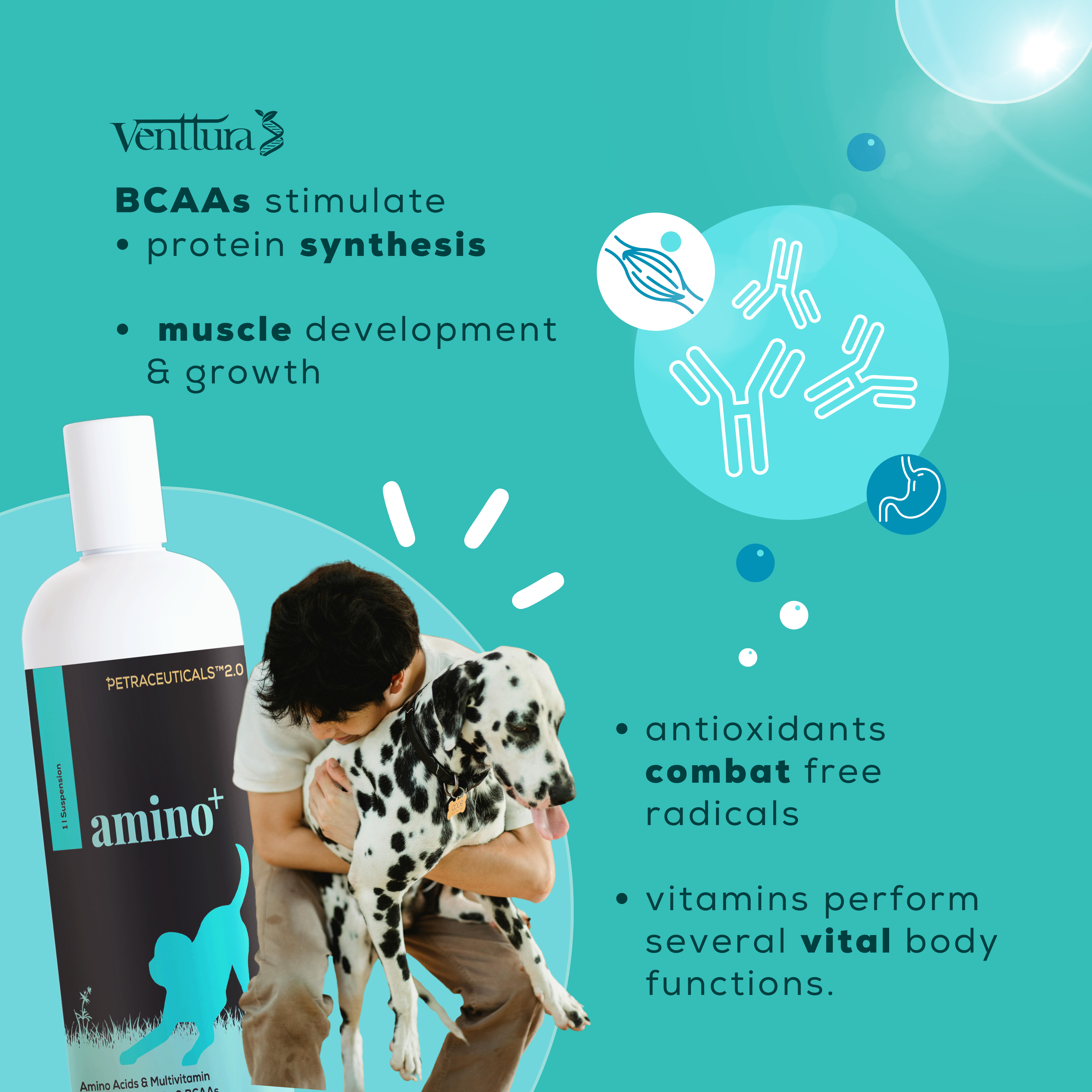 Venttura Amino+ Syrup – Amino Acids & Multivitamin for Pets