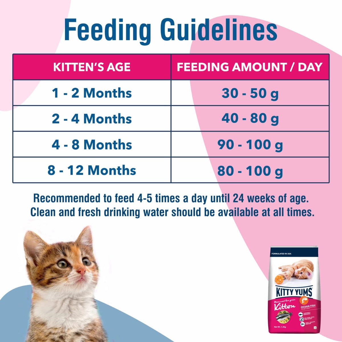 Kitty Yums Ocean Fish Kitten Dry Food