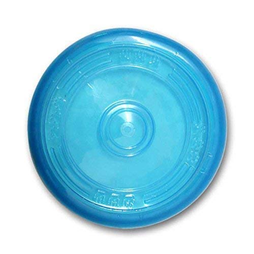 Pets Friend Pets Frisbee