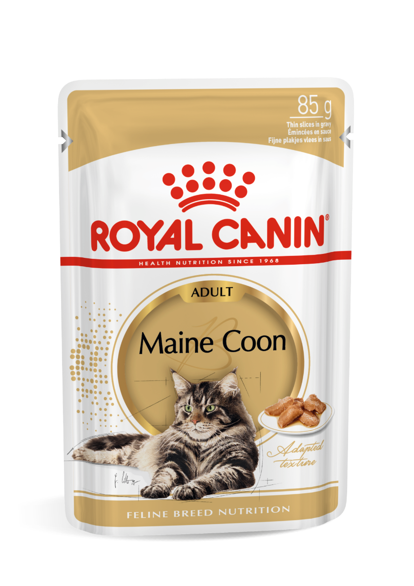 Royal Canin Maine Coon Adult Cat Pouch