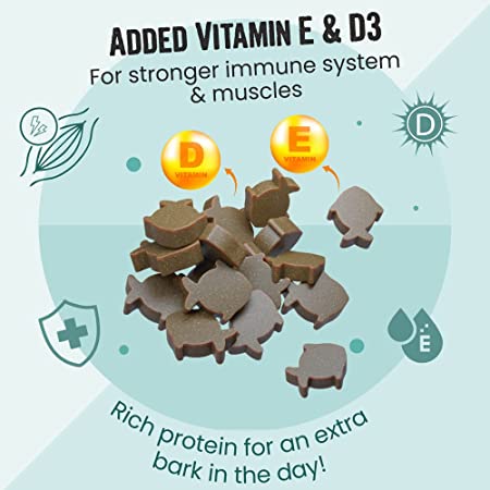 Vivaldis Bark Out Loud Grain Free Mini Fishes Dog Treat