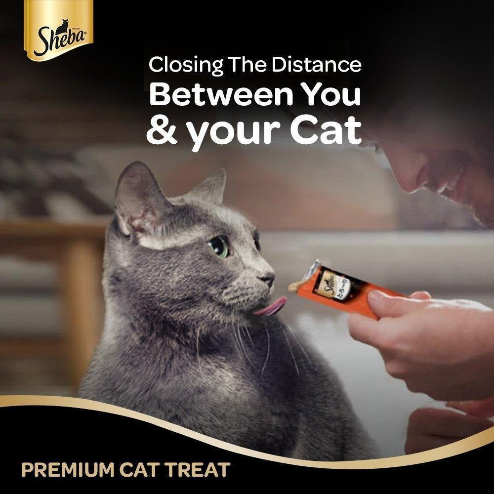 Sheba : Melty Maguro Selection Creamy Cat Treat – Tuna & Prawn Flavors