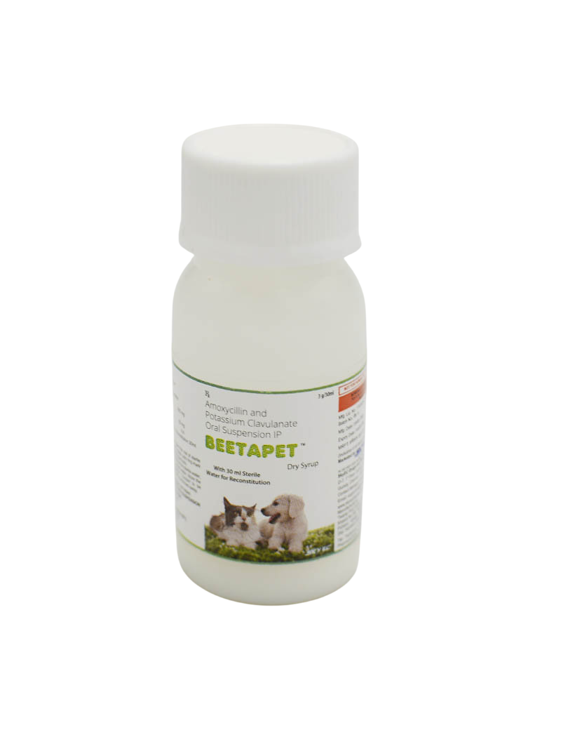 Skyec Beetapet Amoxycillin & Clavulanate Dry Syrup for Dogs & Cats