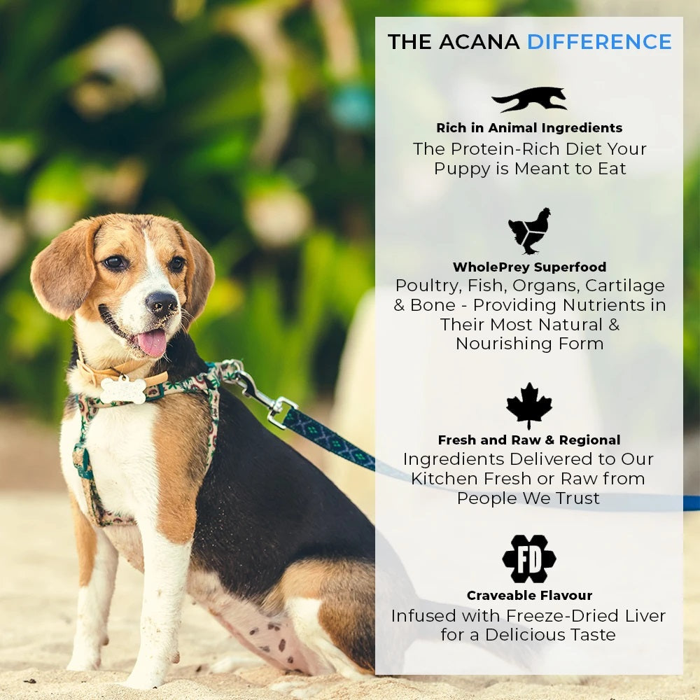 Acana Puppy And Junior Dog Dry Food