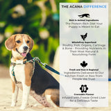 Acana Puppy And Junior Dog Dry Food