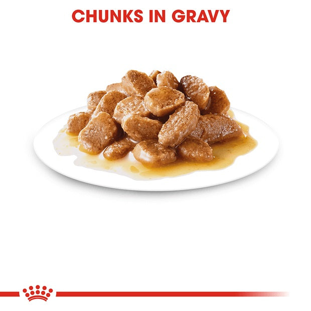 Royal Canin Mini Adult Gravy Salsa Pouch