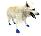 Pawz Waterproof Dog Boots - Medium - Blue 12 PCS
