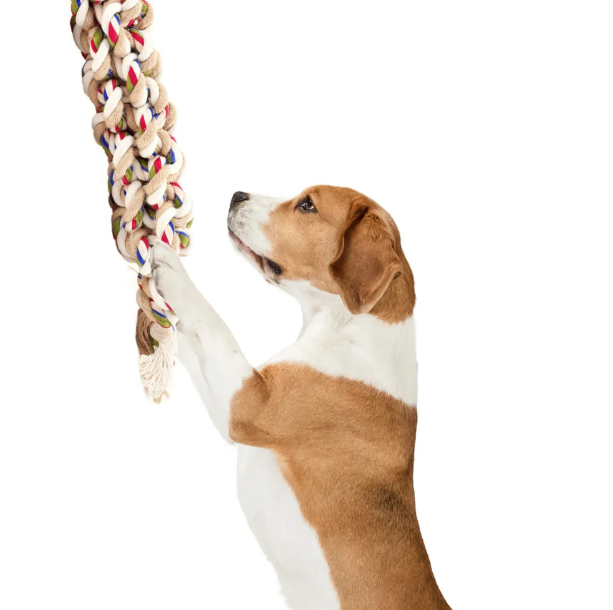 Fofos Flossy Braided Rope Dog Toy