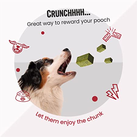 Vivaldis Bark Out Loud Chunky Bites Dog Treat