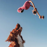 BecoPets Fernando The Flamingo Dog Toy