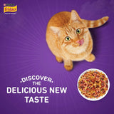 Friskies Surfin Favourities Adult Cat Dry Food