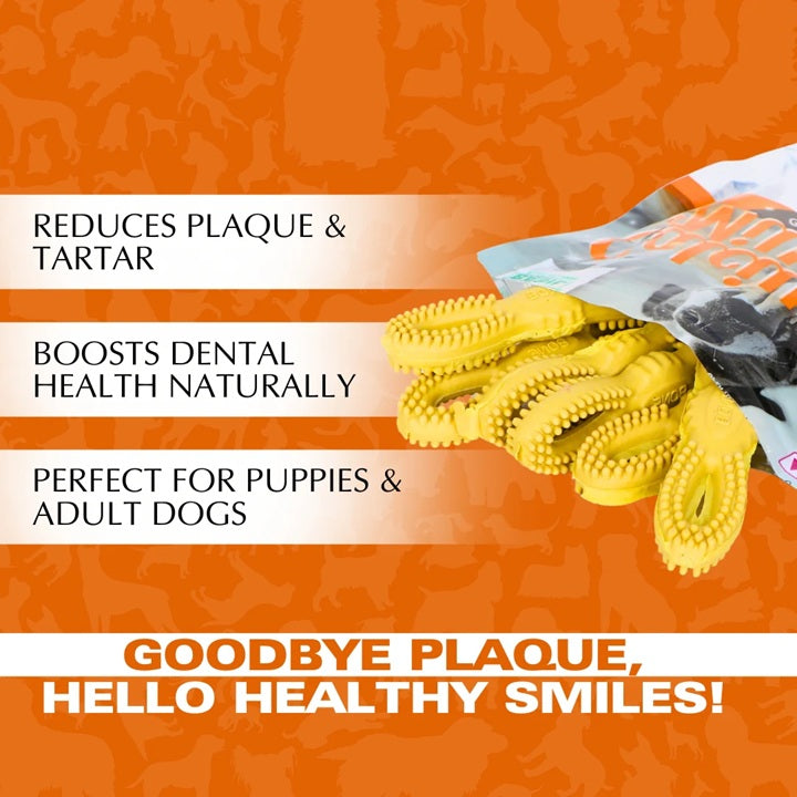 Basil Calcium Milk 360° Dental Chews for Dogs & Puppies