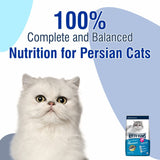 Kitty Yums Ocean Fish Persian Cat Dry Food