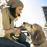 Flexi New Classic Tape Dog Leash - 5m