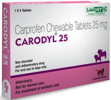 Savavet Carodyl 25 – Carprofen Chewable Tablets for Dogs