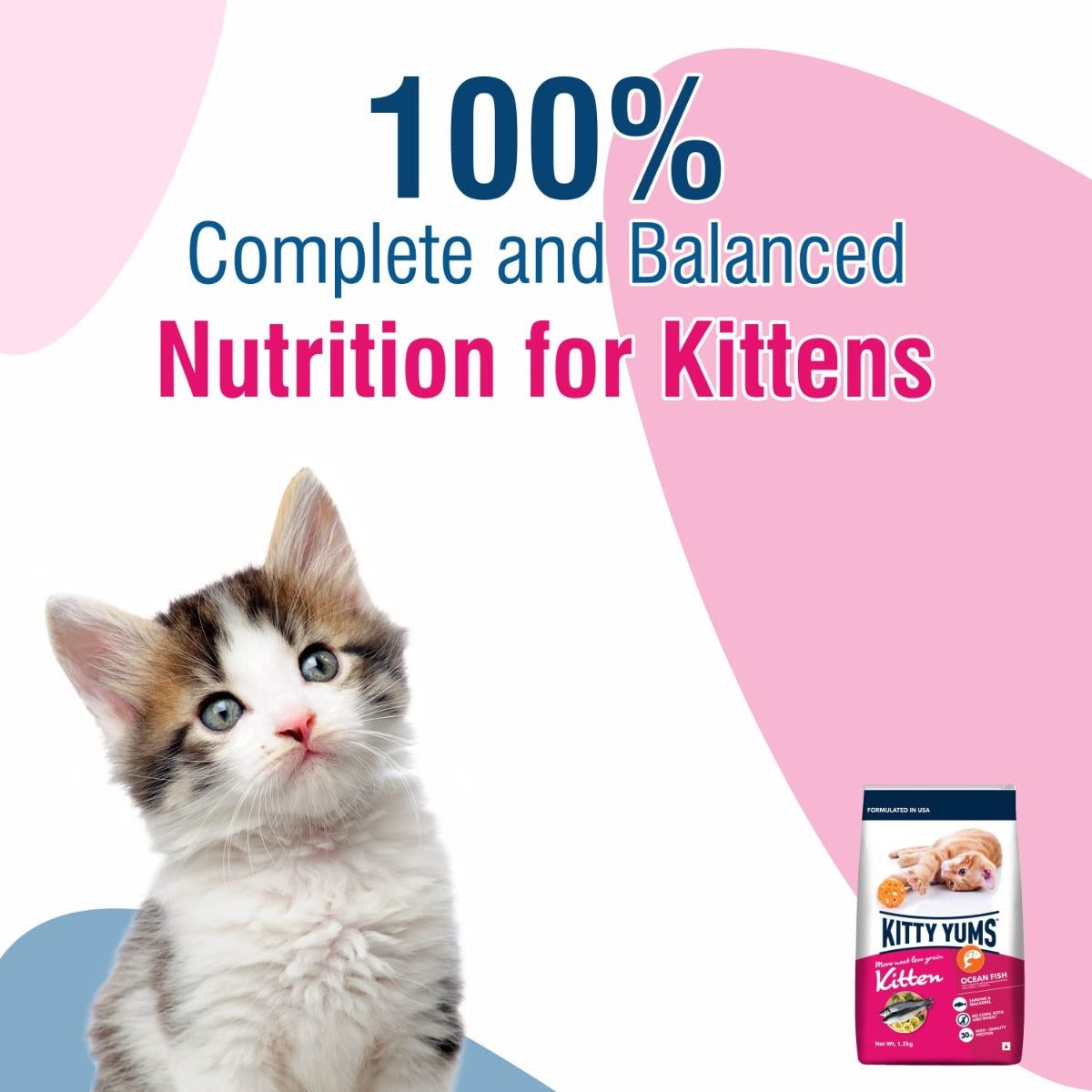 Kitty Yums Ocean Fish Kitten Dry Food