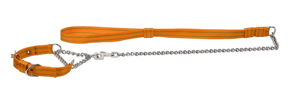 Kennel Pattern Nylon Chain Martingale Set No.2(3 mm)