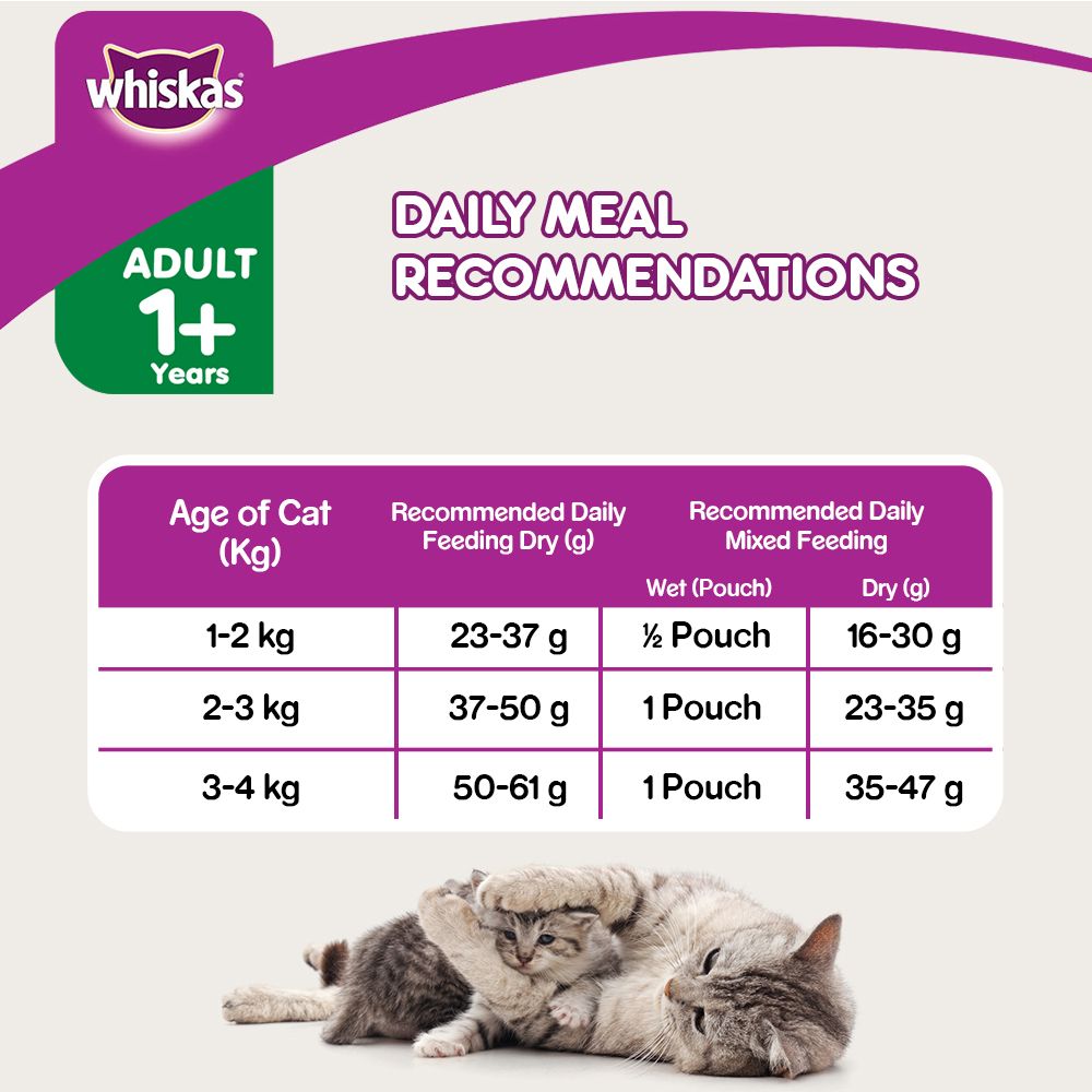 Whiskas Tuna Flavour Adult Cat Dry Food