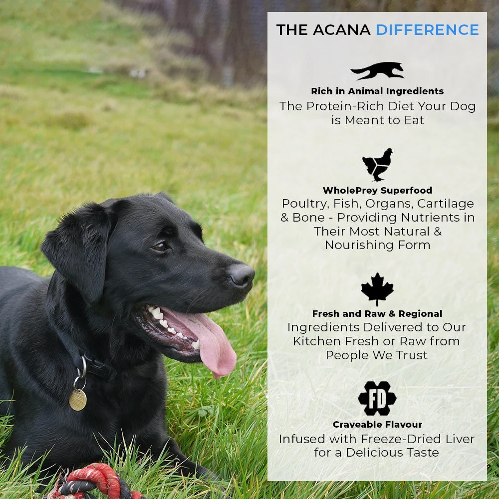 Acana Adult Small Breed Dog Dry Food