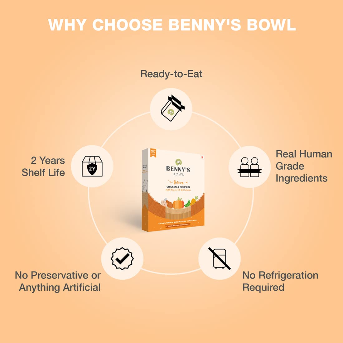 Bennys Bowl Delicious Chicken & Pumpkin Recipe For Dog
