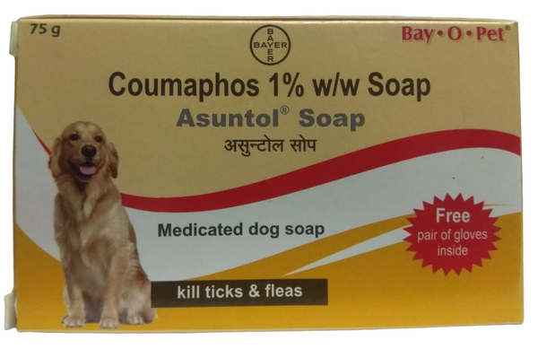 Asuntol powder top for dogs