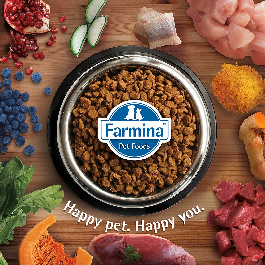 Farmina N&D Prime Lamb And Blueberry Grain Free Adult Cat Dry Food